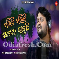 Maribi Maribi Kebethu Bhabuchi - Sad Song Human Sagar